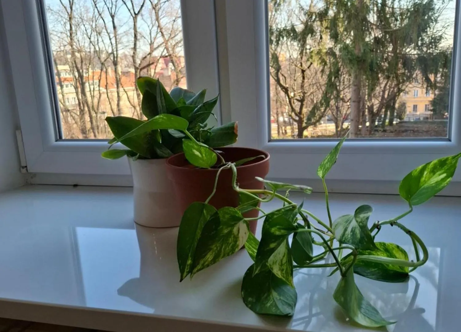 Apartmán Bednarska Varšava Polsko